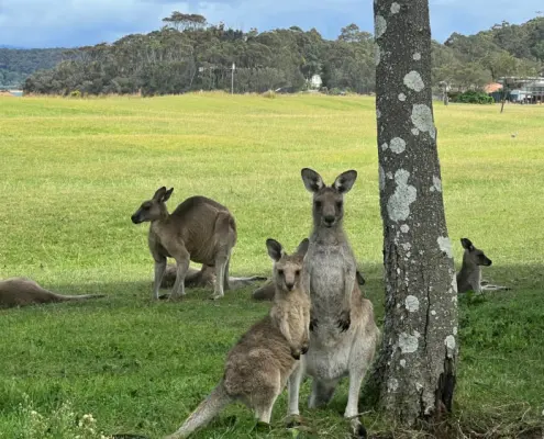 ChatGPT-Confession-12-Travel-Itinerary-7