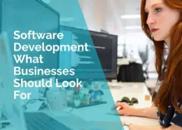 Software development - what businesses should look for