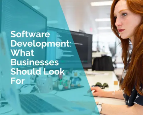 Software development - what businesses should look for