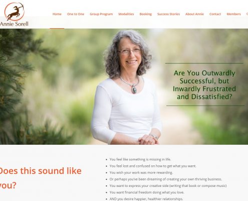 Website Design - Annie Sorell