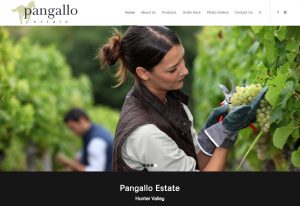 Website Design - Pangallo Estate