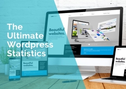 WordPress Statistics