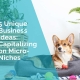 5 unique business ideas - capitalising on micro niches