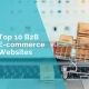 B2B ecommerce websites