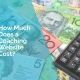 How much does a coaching website cost