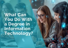What can you do with a degree in information technology