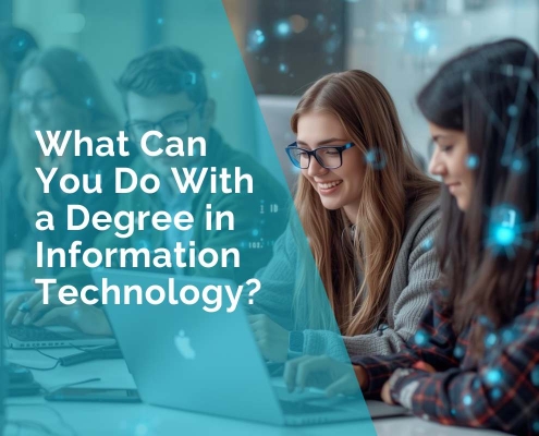 What can you do with a degree in information technology